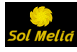 Sol Meli: Global Company Services