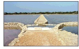 Natural Park of Ses Salines on Eivissa and Formentera