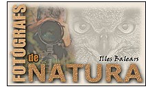 Balearic Association of Nature Photographers