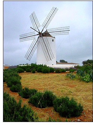 Eivissa's colour and landscape as seen by Rolf Ghring