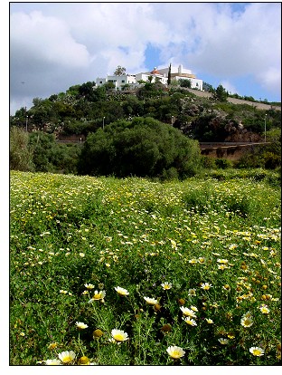 May Fiestas in Santa Eulria