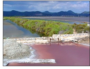 Excursiones semanales en los parques naturales de ses Salines y Cala d'Hort